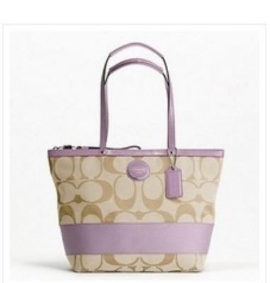 coach bags - 17433 purple